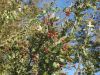DSCF0657.JPG