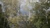 DSCF0673.JPG