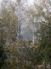 DSCF0674.JPG