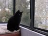 DSCF0677.JPG