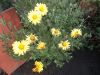DSCN0027.JPG