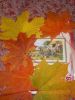 DSCN0106.JPG