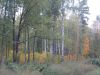 DSCN0111.JPG