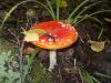 DSCN0112.JPG
