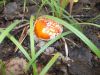 DSCN0113.JPG