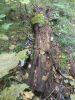 DSCN0117.JPG
