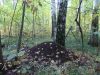 DSCN0119.JPG