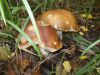 DSCN0120.JPG