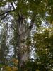 DSCN0144.JPG