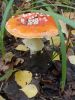 DSCN0145.JPG