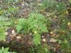 DSCN0146.JPG