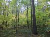 DSCN0147.JPG