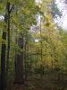 DSCN0149.JPG