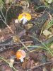 DSCN0150.JPG
