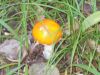 DSCN0151.JPG