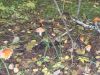 DSCN0157.JPG