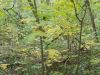 DSCN0162.JPG