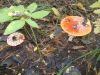 DSCN0163.JPG