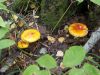 DSCN0165.JPG