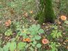 DSCN0167.JPG