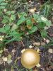 DSCN0170.JPG