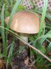 DSCN0171.JPG