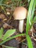 DSCN0172.JPG