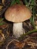 DSCN0173.JPG