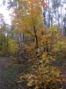 DSCN0177.JPG