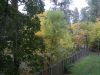DSCN0197.JPG