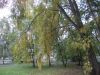 DSCN0200.JPG