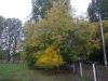 DSCN0202.JPG