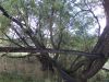 DSCN0211.JPG