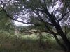 DSCN0212.JPG