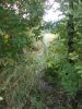 DSCN0213.JPG