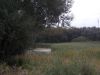 DSCN0215.JPG