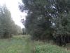 DSCN0216.JPG