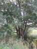 DSCN0218.JPG