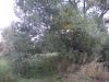 DSCN0220.JPG