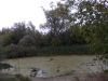 DSCN0224.JPG