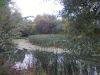 DSCN0225.JPG