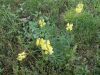 DSCN0228.JPG