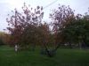 DSCN0232.JPG