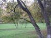 DSCN0233.JPG