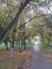 DSCN0234.JPG