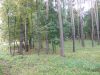 DSCN0235.JPG