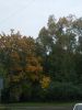 DSCN0236.JPG