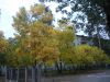 DSCN0237.JPG