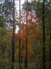 DSCN0239.JPG