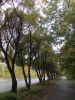 DSCN0241.JPG